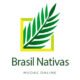 Brasil Nativas - Plantas Ornamentais