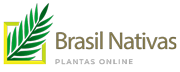 Brasil Nativas - Plantas Ornamentais